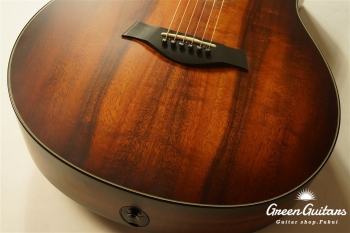 TGS2014 GSce-Koa